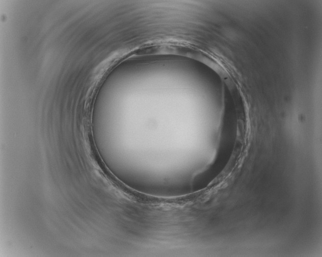 X0000052980193200507221336