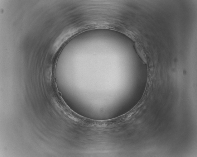 X0000052980194200507221336