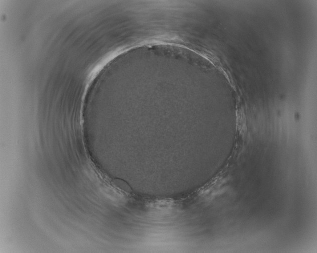 X0000052980196200507221336