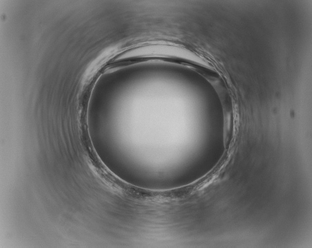 X0000052980197200507221336