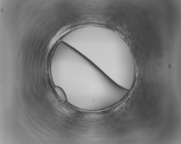 X0000052980198200507221336