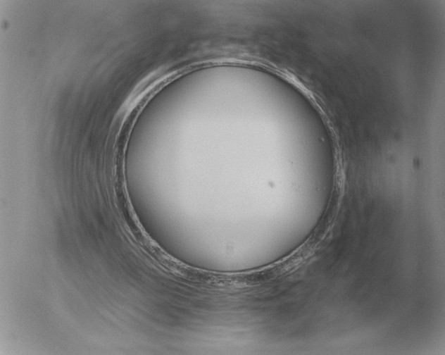 X0000052980199200507221336