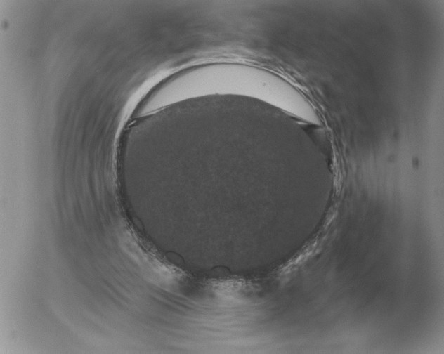 X0000052980200200507221336