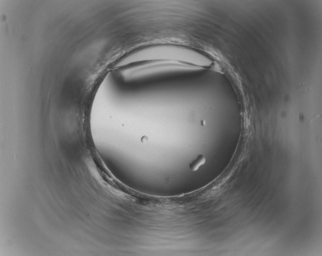 X0000052980201200507221336