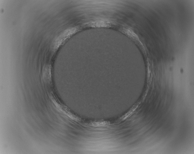 X0000052980202200507221336