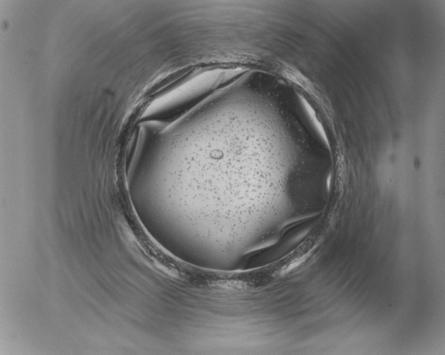 X0000052980203200507221336