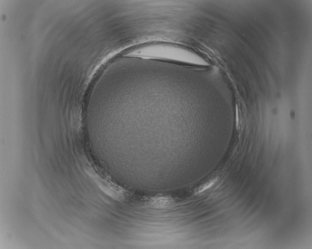 X0000052980204200507221336