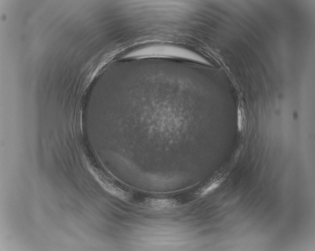 X0000052980205200507221336