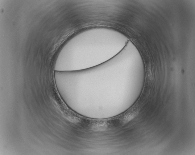 X0000052980206200507221336