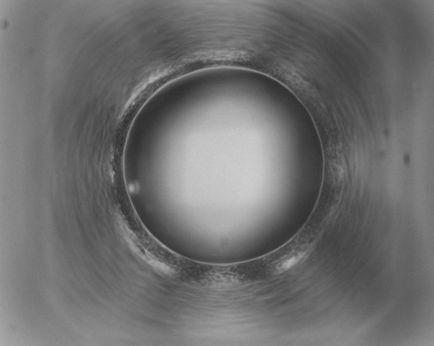 X0000052980207200507221336