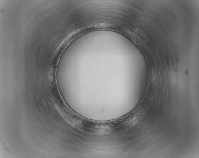 X0000052980208200507221336