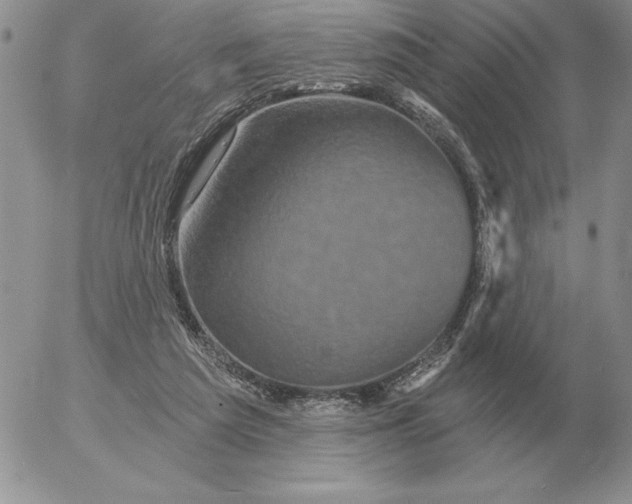 X0000052980209200507221336