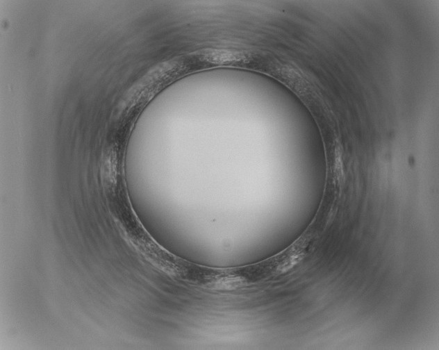 X0000052980210200507221336