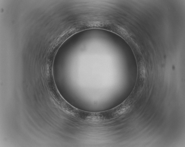 X0000052980211200507221336