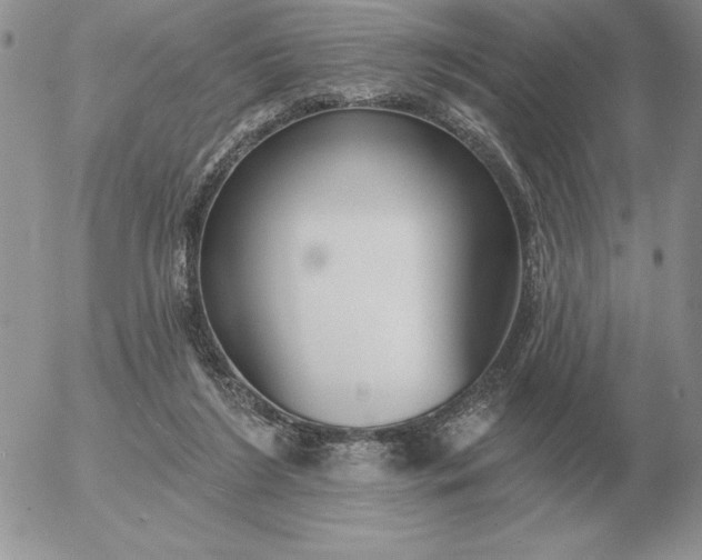 X0000052980212200507221336