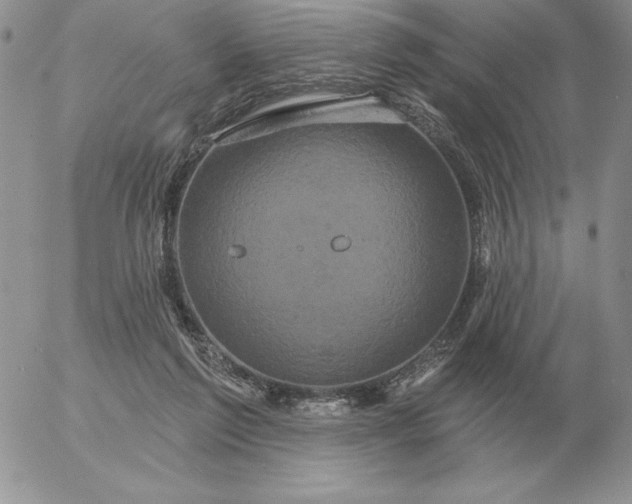 X0000052980213200507221336