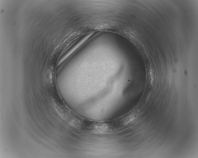 X0000052980214200507221336