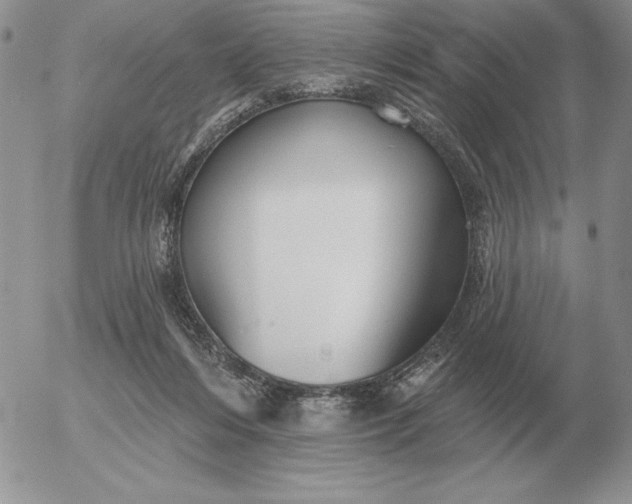 X0000052980216200507221336