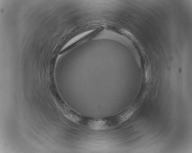 X0000052980217200507221336