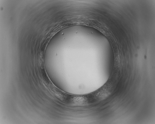 X0000052980218200507221336