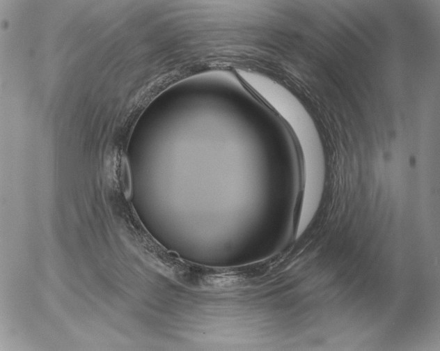 X0000052980219200507221336