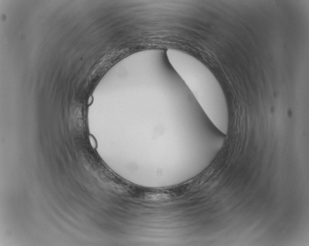 X0000052980220200507221336