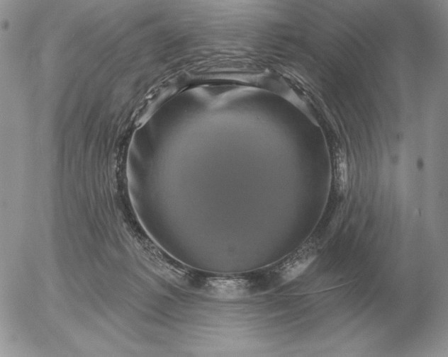 X0000052980221200507221336