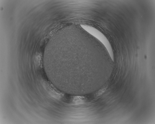 X0000052980222200507221336