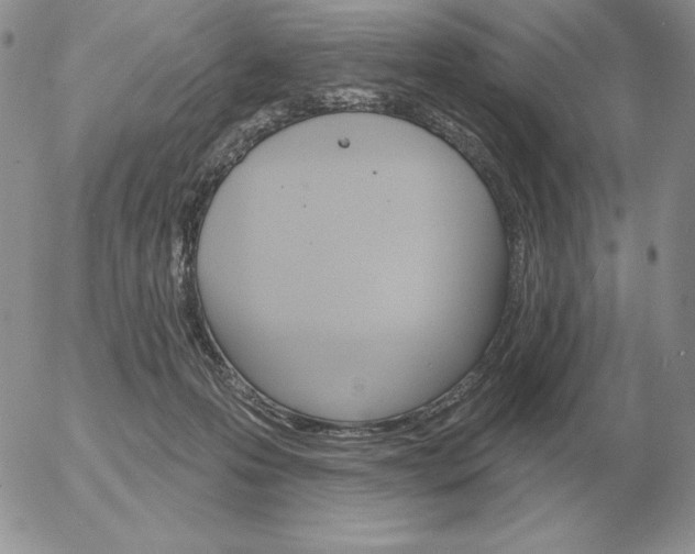 X0000052980223200507221336