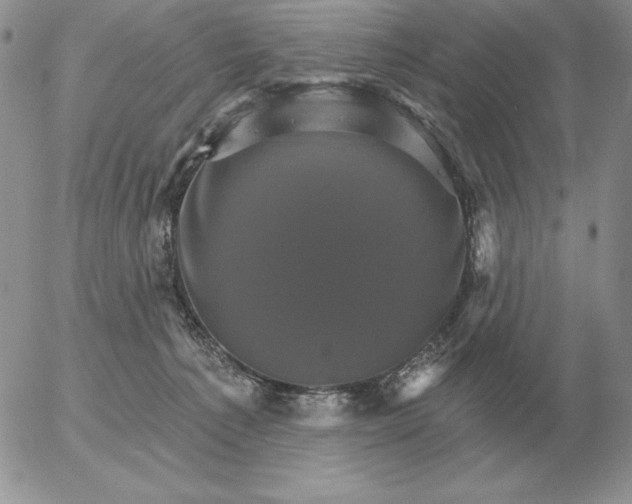 X0000052980225200507221336