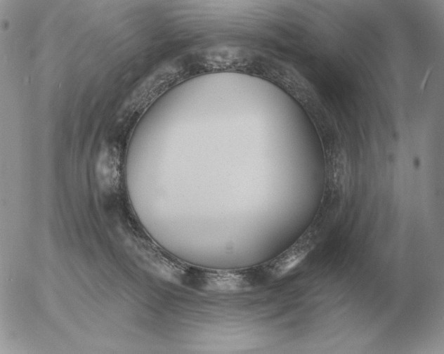 X0000052980226200507221335