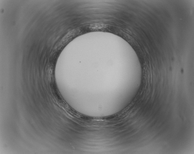 X0000052980227200507221335