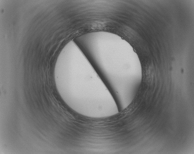 X0000052980228200507221335