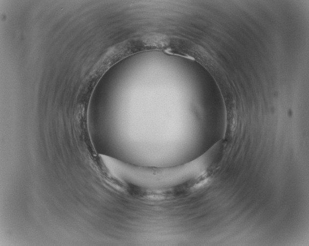 X0000052980229200507221335