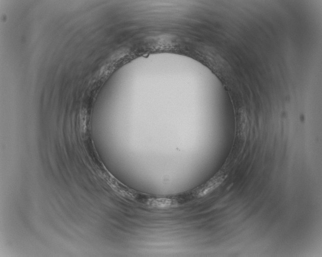 X0000052980230200507221335