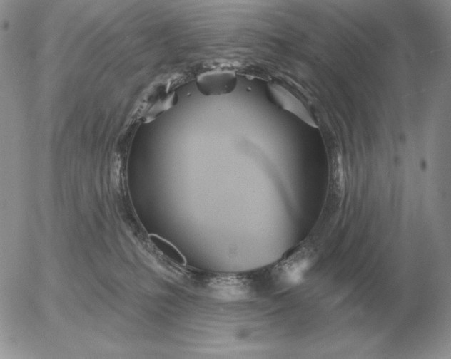 X0000052980231200507221335