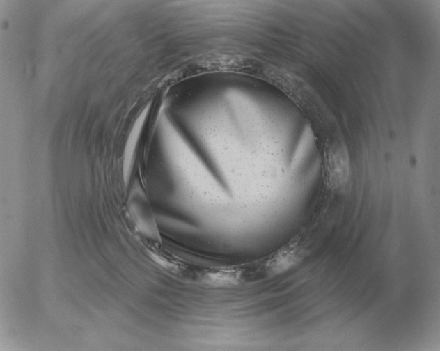 X0000052980232200507221335