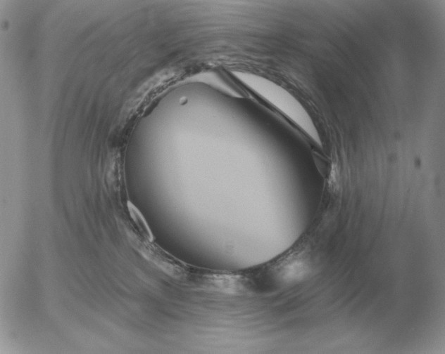 X0000052980233200507221335