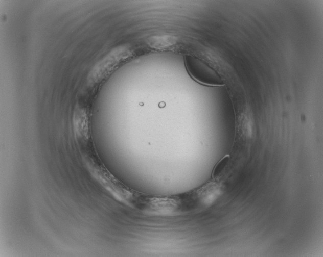 X0000052980234200507221335