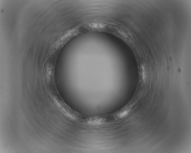 X0000052980235200507221335