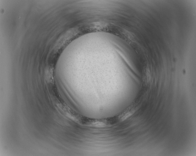 X0000052980236200507221335