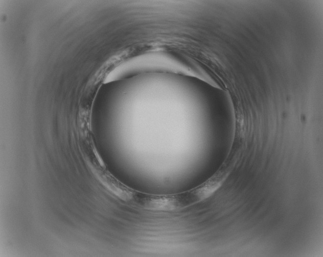 X0000052980237200507221335