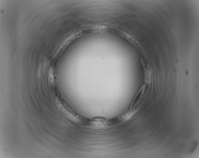 X0000052980238200507221335