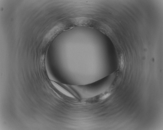 X0000052980239200507221335