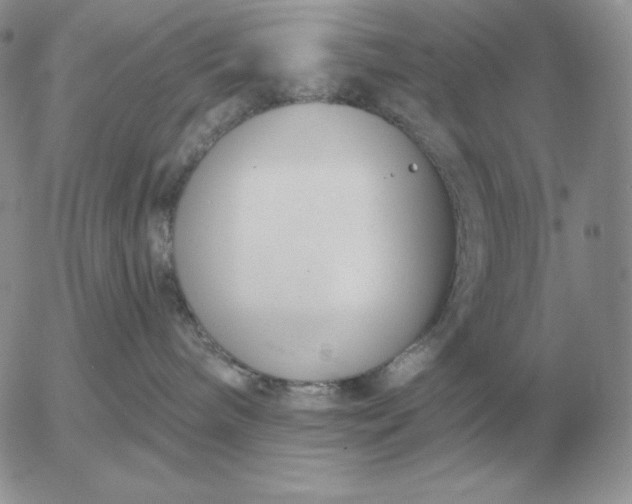 X0000052980240200507221335