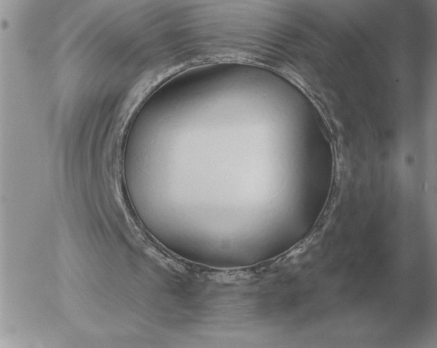 X0000052980241200507221334