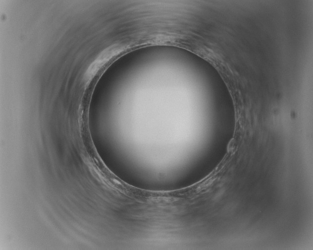 X0000052980242200507221334