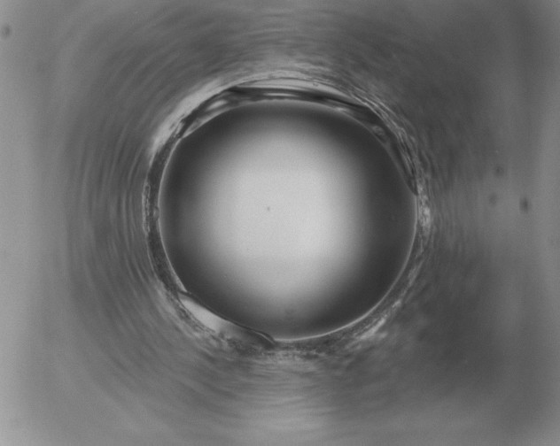 X0000052980244200507221335