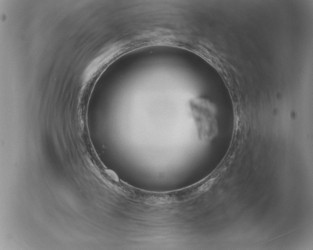 X0000052980245200507221335