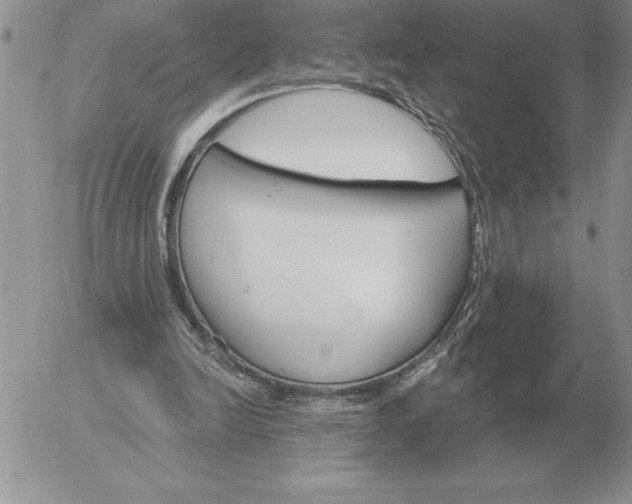 X0000052980246200507221335